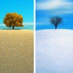 Cambiamento © Orlando Florin Rosu - Fotolia.com