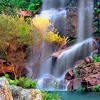 Ambienti rigenerativi - Immagine: © John Casey - Fotolia.com - Anteprima