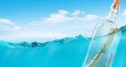 Mindfulness: stato mentale o funzione della mente?