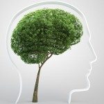 La Mentalisation Based Therapy di Peter Fonagy- il corso all’Anna Freud Institute di Londra. -Immagine:© Mopic - Fotolia.com