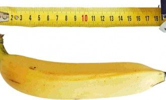 Piccoli granelli scuri sul membro