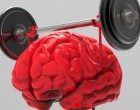 La Stimolazione Cognitiva nella Demenza: una palestra per il cervello