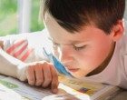 GRIN2B mediates susceptibility to IQ and cognitive impairments in Developmental Dyslexia