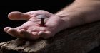 Il capro espiatorio in Girard e in Fornari: il superamento del sacrificio umano (Pt. 3)