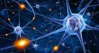 Una “spugna” per coltivare neuroni: l’evoluzione dei neuroni in vitro dal 2D al 3D