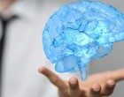 L’alfabeto elettrico del cervello: temporarizzazione e frequenza sono alla base dell’informazione nervosa