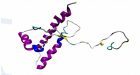 La proteina prionica è protettiva contro l’epilessia: confermato con accuratezza senza precedenti il ruolo neuroprotettivo di PrPC