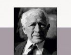 Ernst Jünger (2015) a cura di Luigi Iannone – Recensione