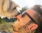 Uomo e cane: le origini dell’amicizia più lunga del mondo