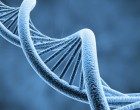 Scoperto il gene che ci fa sentire il dolore: il PRDM12
