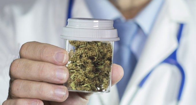 Αποτέλεσμα εικόνας για legalizza la cannabis per scopi medici