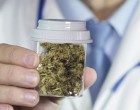 Cannabis medica: linee guida per l’utilizzo della marijuana nel trattamento del dolore