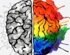 Lo “switch” cerebrale: il cervello che si salva da solo
