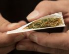 L’abuso di cannabis può causare psicosi