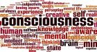 Coscienza e inconscio tra neuroscienze e cognitivismo