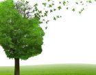Demenza frontotemporale pre-senile: l’importanza della distinzione precoce dalla psicosi e dal bipolarismo