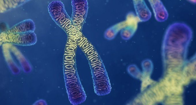 Gli effetti degli eventi avversi sul patrimonio genetico dell’individuo