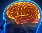 Ciò che impariamo oggi influenza i nostri apprendimenti futuri
