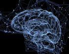 Tecnologia organoide: un nuovo metodo per il rilevamento di malfunzionamenti cerebrali. Lo studio degli organoidi cerebrali