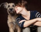 Una migliore qualità di vita a portata di zampa: la funzione psicoterapeutica del cane