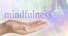 Disturbo Ossessivo Compulsivo e Mindfulness: quale contributo nel percorso di psicoterapia