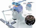 La stimolazione magnetica transcranica (TMS) – Introduzione alla Psicologia