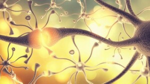 Trovati i neuroni che distinguono tra reale e immaginario: i risvolti sulla schizofrenia