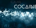 Cocaina: assunzione, storia e conseguenze a breve e a lungo termine – Introduzione alla Psicologia