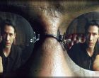 Libero dalla coscienza o libero arbitrio? Il comportamento umano tra neurochimica e processi cognitivi consci e inconsci – Introduzione