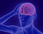 La neuroinfiammazione: ruolo e funzione nei disturbi psichiatrici
