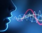 Recupero afasico e speech therapy: la correlazione con la plasticità strutturale della via ventrale
