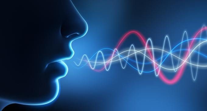 Recupero afasico e speech therapy: la correlazione con la plasticità strutturale della via ventrale