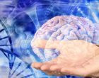 Una tecnica optogenetica in grado di modificare il comportamento animale