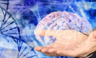 Una tecnica optogenetica in grado di modificare il comportamento animale