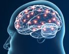 I potenziali evocati (ERP): in cosa consistono – Introduzione alla Psicologia
