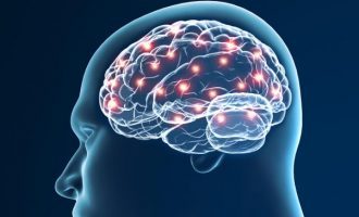 I potenziali evocati (ERP): in cosa consistono – Introduzione alla Psicologia