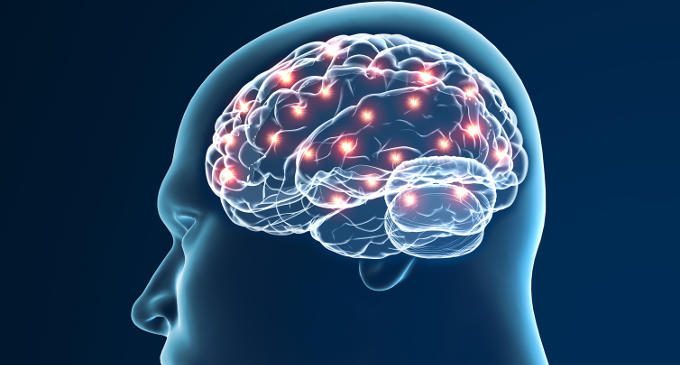 I potenziali evocati (ERP): in cosa consistono – Introduzione alla Psicologia