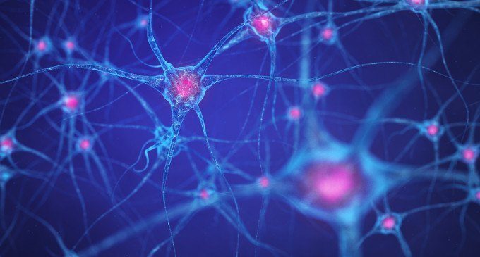 Allopregnanolone: un neurosteroide coinvolto nei disturbi di anoressia e obesità