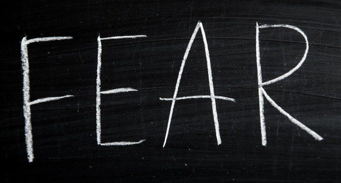 Nuove scoperte sull’ apprendimento della paura a livello cerebrale