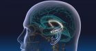 Il cervello ci protegge dai brutti ricordi e pensieri