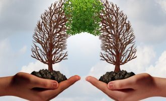 Cooperazione: tra i successi e i fallimenti del comportamento cooperativo Cooperazione: tra i successi e i fallimenti del comportamento cooperativo