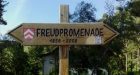 Freud Promenade: passeggiare tra i monti respirando psicoanalisi