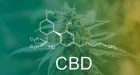 Cannabis: lo stato dell’arte dalla legislazione ai dati relativi all’uso e all’abuso