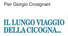 Il lungo viaggio della cicogna (2012) di Pier Giorgio Crosignani – Recensione del libro
