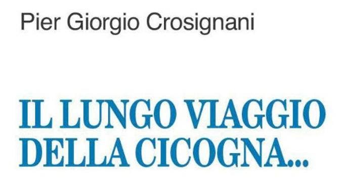 Il lungo viaggio della cicogna (2012) di Pier Giorgio Crosignani – Recensione del libro