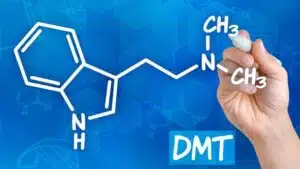 Triptamine e DMT: meccanismi d'azione effetti collaterali e stato legale