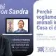 Dialoghi con Sandra - Il video dell'ottavo incontro con il Dott. Caselli