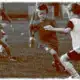 La leva calcistica della classe del '68: tra passioni e paure - Psico-canzoni