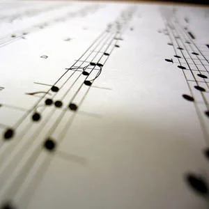 Musica - Licenza d'uso: Creative Commons - http://www.flickr.com/photos/naturegeak/