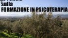Assisi 2011: Ricordi del IV Forum sulla Formazione in Psicoterapia